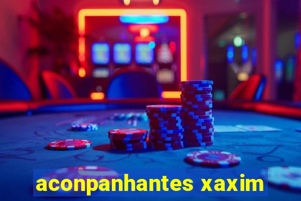 aconpanhantes xaxim